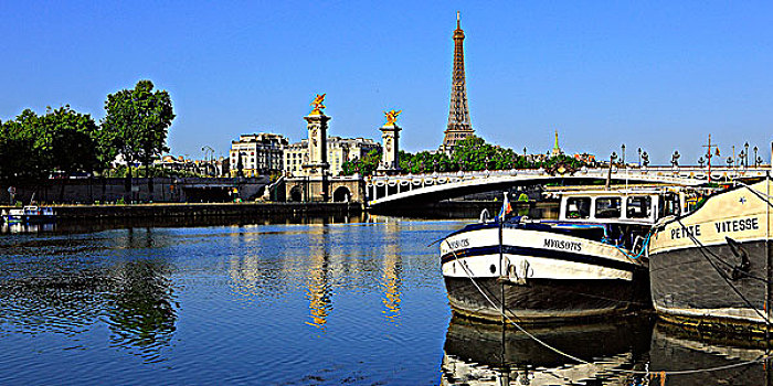 法国,巴黎,港口,亚历山大三世桥,埃菲尔铁塔,背景