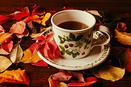 茶杯,秋天,叶子