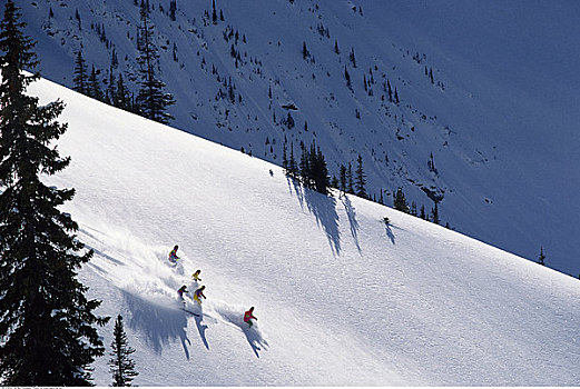 滑雪,不列颠哥伦比亚省,加拿大