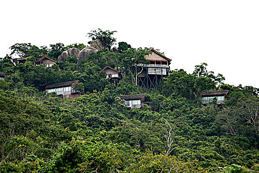 海南,三亚,亚龙湾热带天堂森林旅游区,亚龙湾热带天堂森林公园,鸟巢别墅度假村