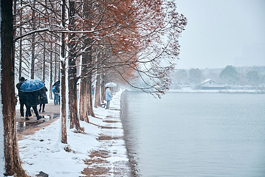 湖南省开福区烈士公园冬季雪景