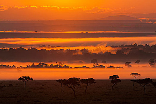 日出,上方,马赛马拉,肯尼亚,非洲
