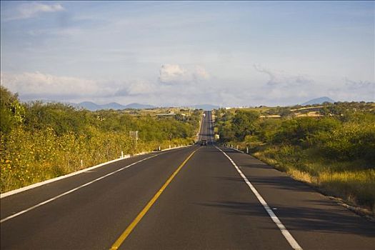 道路,通过,风景,波托西地区,墨西哥