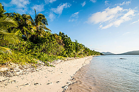 白色,沙滩,湾,斐济,南太平洋