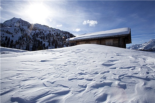 雪屋,雪,奥地利,阿尔卑斯山