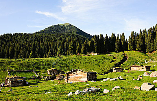 新疆天山伊犁草原牧场