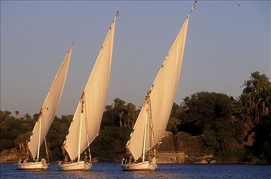 埃及,三桅小帆船,尼罗河