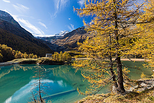 下午,太阳,区域,水库,高山,靠近,博斯齐亚格,秋天,亮光,瑞士