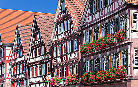 历史,半木结构房屋,市场,广场,黑森林,巴登符腾堡,德国,欧洲