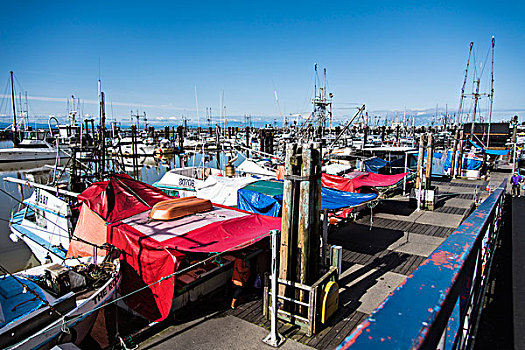 加拿大旅游-温哥华渔人码头景色