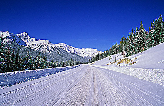 道路,卡纳纳斯基斯县,艾伯塔省,加拿大