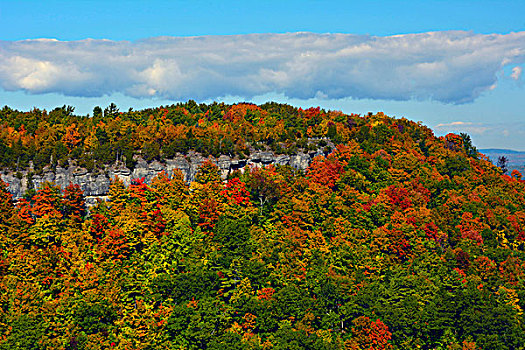 秋色,茅屋匠,州立公园,纽约,美国