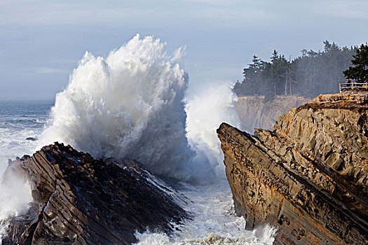 美国,俄勒冈,阿里克海滨状态公园,海洋,碰撞,悬崖