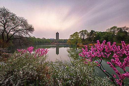 北京大学