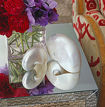 两个,壳,反射,边桌,客厅,旁侧,花瓶,插花