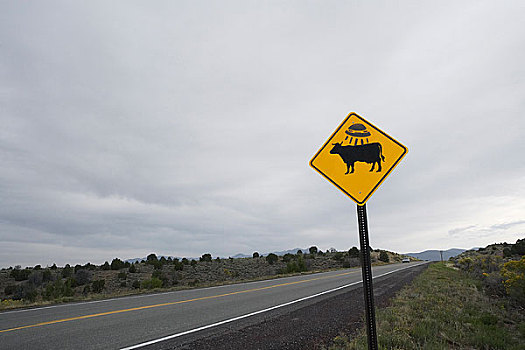 飞碟,牛,路标,新墨西哥,美国