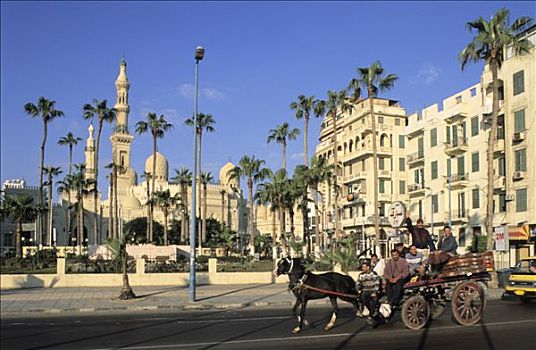 埃及,亚历山大,男人,手推车,棕榈树,清真寺,背景