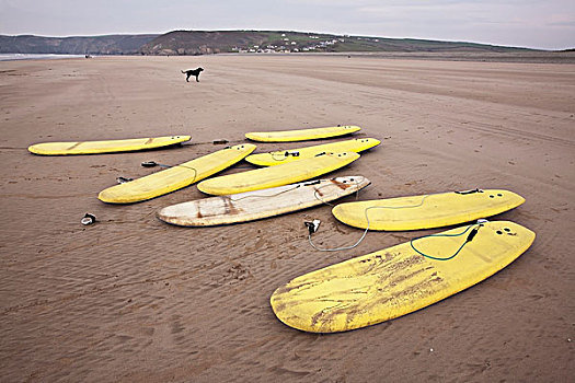 冲浪板,海滩,彭布鲁克郡,海岸,小路,威尔士,英国