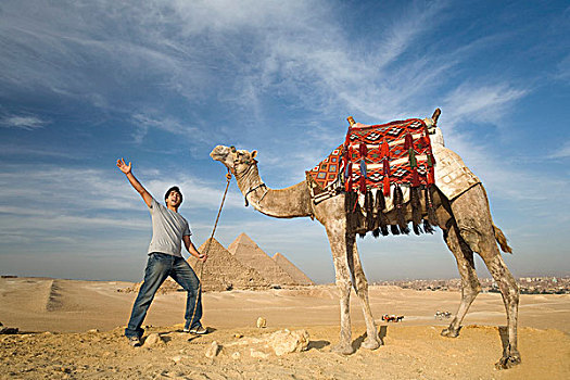 一个,男人,骆驼,金字塔,背景