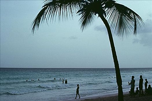 壮观,海景,日落,加勒比海