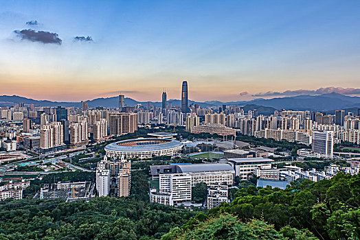 深圳罗湖夜景城市天际线