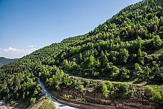 山西宁武县涔山乡悬空村,悬崖上的村庄,对面山上的树林