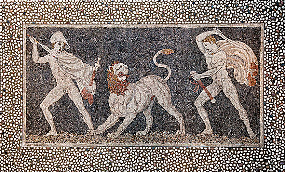 地面,图案,猎捕,狮子,展示,考古博物馆,马其顿,希腊