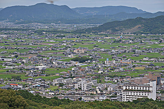 斑点,日本