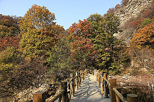 天津蓟县,梨木台风景区,古长城,秋色,风景区,旅游区