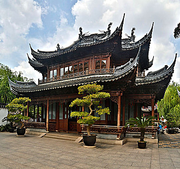 上海,中国,花园,东方,建筑