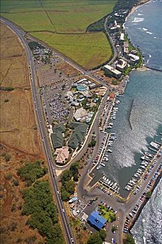 夏威夷,毛伊岛,港口,商店,公寓,俯视