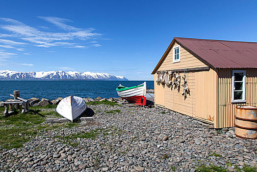 捕鱼,小屋,船,海洋,后面,雪山,半岛,北方,冰岛,欧洲