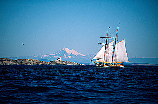 帆船,发现,岛屿,维多利亚,水岸,温哥华岛,不列颠哥伦比亚省,加拿大