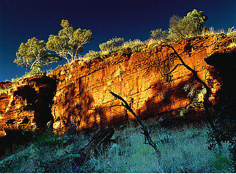 岩石构造,树,卡瑞吉尼国家公园,西澳大利亚,澳大利亚