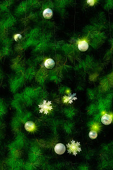 圣诞节贺卡背景,耶诞树上装置许多耶诞饰品