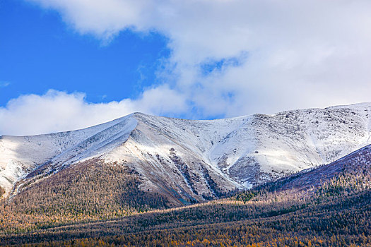 西北第一村白哈巴村盛景