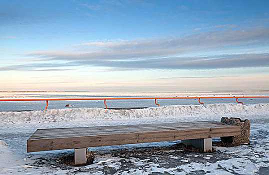 木制长椅,正面,波罗的海,海岸,塔林,爱沙尼亚