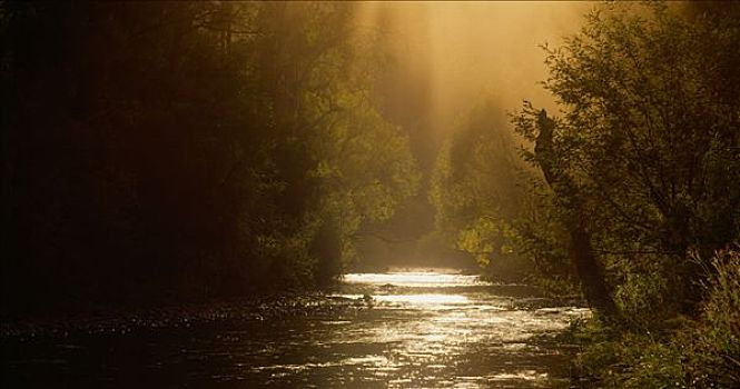 河,日落,澳大利亚