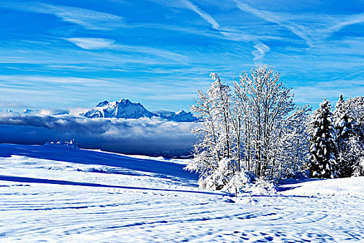 山,皮拉图斯,冬天,风景,瑞士,欧洲