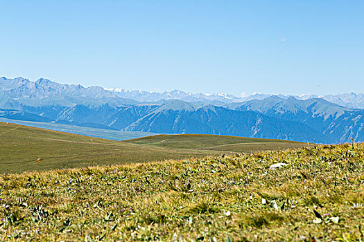 新疆喀拉峻草原峡谷