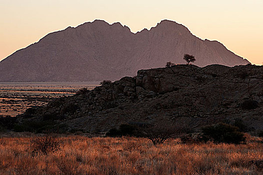 夜光,小,后面,纳米比亚,非洲