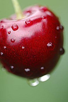 樱桃,红色,成熟,湿,水果,有核水果,水滴,雨滴,潮湿,富含维生素,果味,低热量,自然,新鲜,健康,食物,序列
