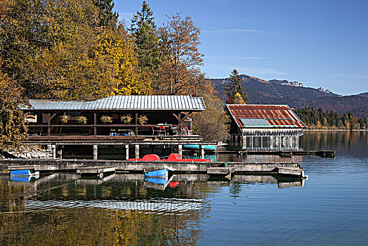 秋天,瓦尔幸湖,巴伐利亚,德国