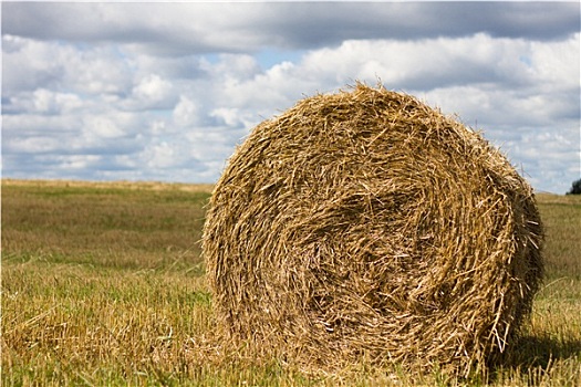 农业,稻草,汇集,捆,地点,丰收,天空