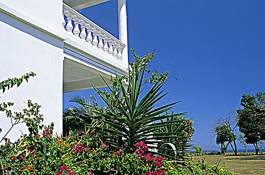 西印度群岛,瓜德罗普,异域风情,花园,房子
