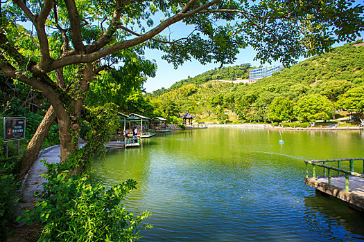 湖,水面,垂钓,自然