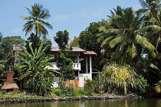 房子,河,斯里兰卡