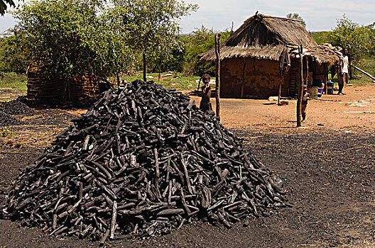 木碳,销售,南,马达加斯加