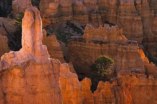 布莱斯峡谷国家公园,犹他,美国