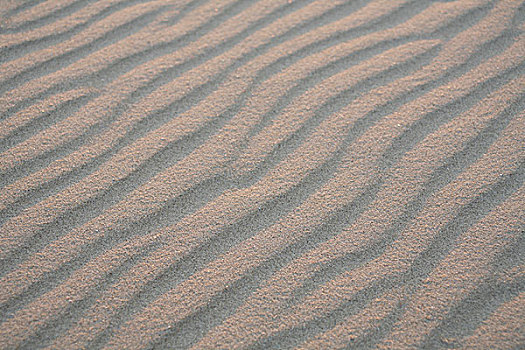 波纹,沙子